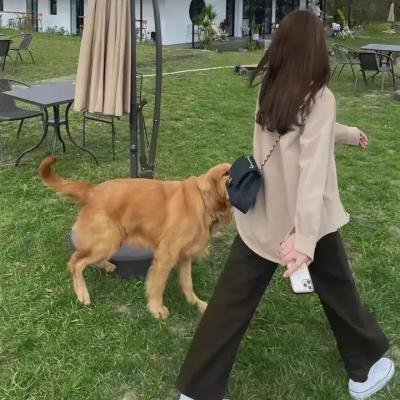 合成波的崛起